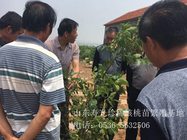 售后現(xiàn)場(chǎng)指導(dǎo)